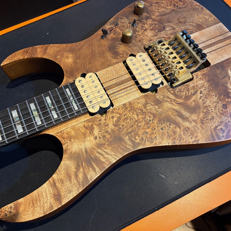 Ibanez RGT1220PB-ABSの画像